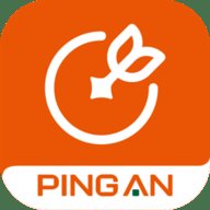 中国平安消费金融