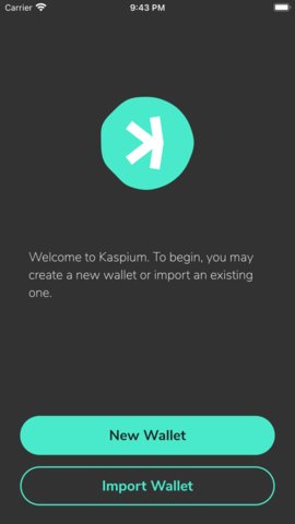 Kaspa币交易平台