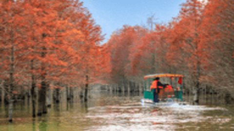 千姿百媚tv影视