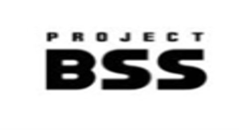 ProjectBSS