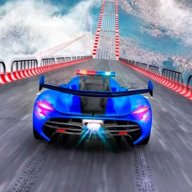 狂野飞车驾驶 1.0 安卓版
