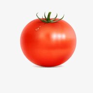 西红柿直播电视版