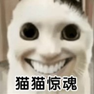 猫猫惊魂去广告版