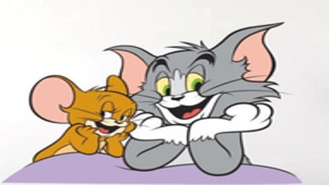 老鼠TV电视直播