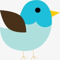 雏鸟视频圆你一个公主梦