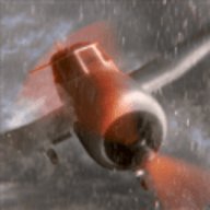 迷失在森林正版