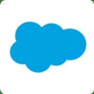 salesforce安卓版 246.040 安卓版