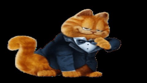 加菲猫影视box版