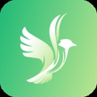 飞鸽体育足球比赛