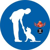 虞人影视免费版