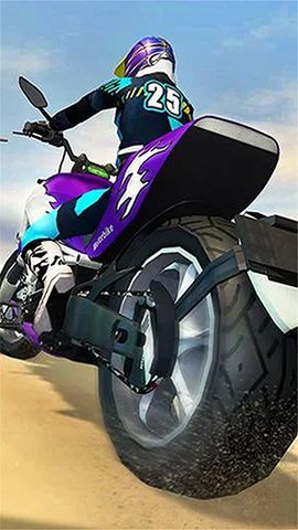 海滩摩托车特技大师