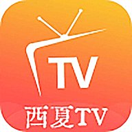 西夏TV0322版