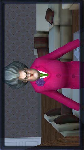 恐怖邻居3整蛊奶奶