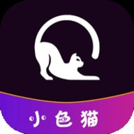 小色猫影视电视盒子版