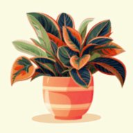 种植植物植物大亨