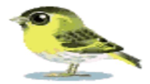 小黄鸟直播TV版