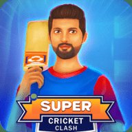 超级板球交锋 1.0.5 安卓版