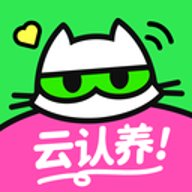 附近有喵 1.2.80 安卓版