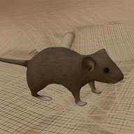 老鼠求生模拟器