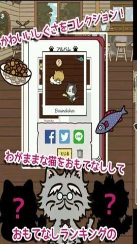 业务繁忙的丑猫轩