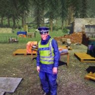 模拟边境检察官