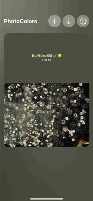 photocolors软件官方版