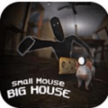 小老鼠大房子