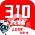 310大师