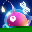 不可思议的进化