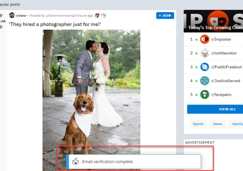 reddit5