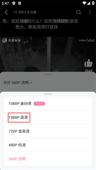 哔哩哔哩5