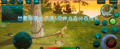 诅咒之岛破解版1