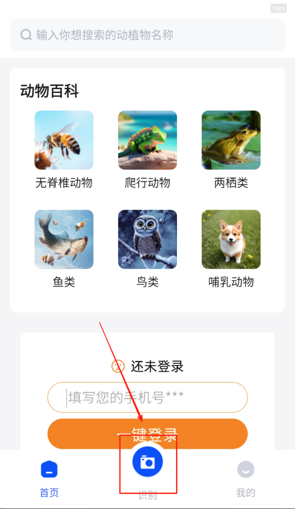 动物世界1