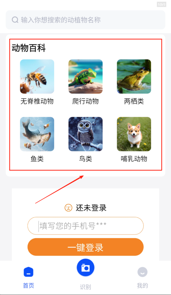 动物世界2