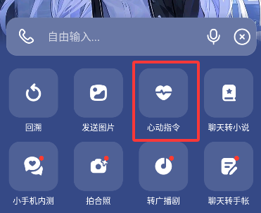 猫箱13