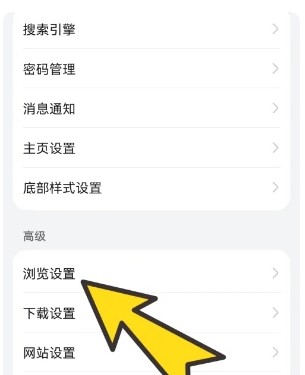 啵啵浏览器5