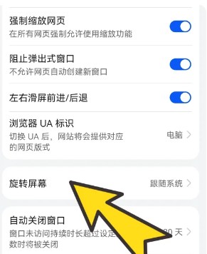 啵啵浏览器6