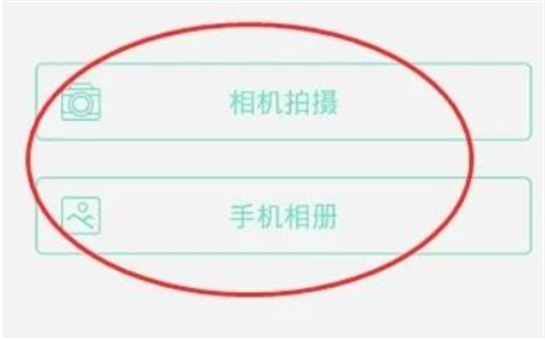 智学网5