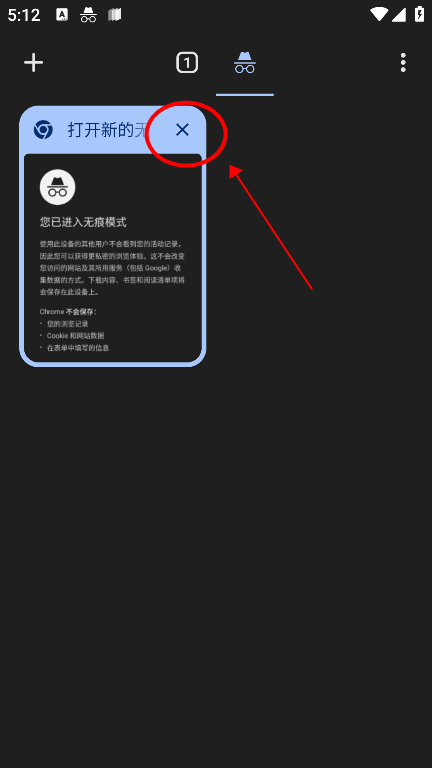 谷歌浏览器海外版10