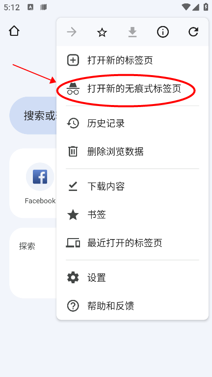 google chrome8
