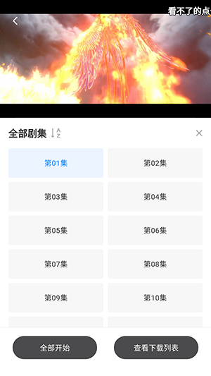 看世界11