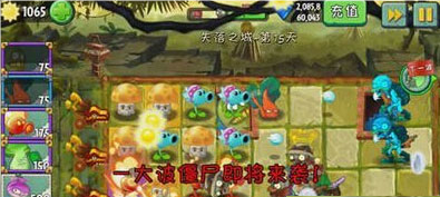 植物大战僵尸2oppo渠道服5