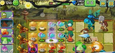 植物大战僵尸2国际版6