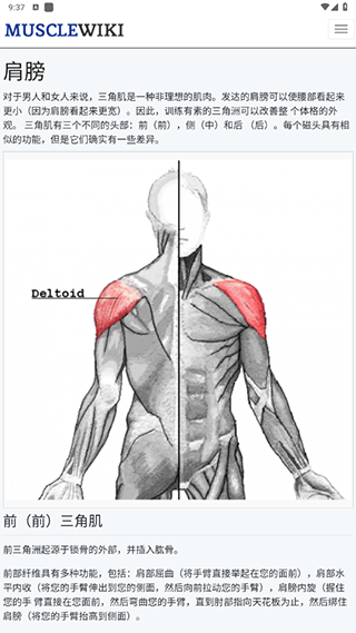 musclewiki2