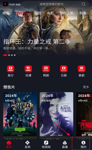 网飞猫2