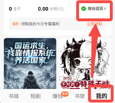 番茄免费小说13
