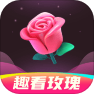 趣看玫瑰