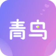 青鸟交友软件