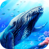 蓝鲸海洋生物模拟3D