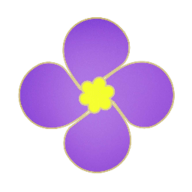 紫金草视频去广告版